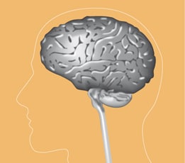 Neurochirurgie-Grafik-vom-Gehirn