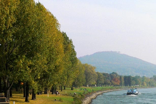 Die-Rheinpromenade-in-direkter-Umgebung-zur-Beta-Klinik-lädt-zu-erholsamen-Spaziergaengen-ein