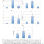 Dr-Sattler-Veröffentlichung-im-Plastic-and-Reconstructive-Surgery-Journal-Seite-5