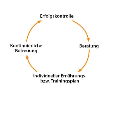 Beta-Sportmedizin-Schaubild-In-Body-Analyse-Kreis