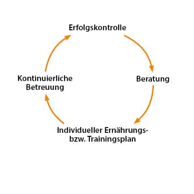 Kreisdiagramm mit den Schritten: Beratung, Ernährungsplan, Betreuung, Erfolgskontrolle, verbunden durch Pfeile.