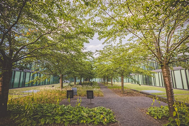 Ein grüner Innenhof mit Bäumen, umgeben von modernen Glasgebäuden, mit Kieswegen und Sitzbänken.