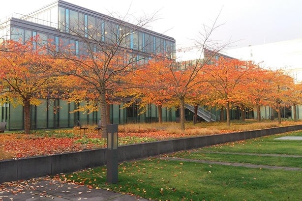 Moderne Glasgebäude hinter herbstlichen Bäumen mit orangefarbenem Laub, umgeben von grünen Rasenflächen.