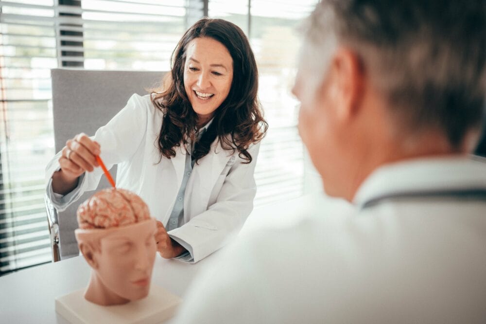 Neuroonkologin Dr. Rapp zeigt Patienten etwas an einem Modell des menschlichen Gehirns